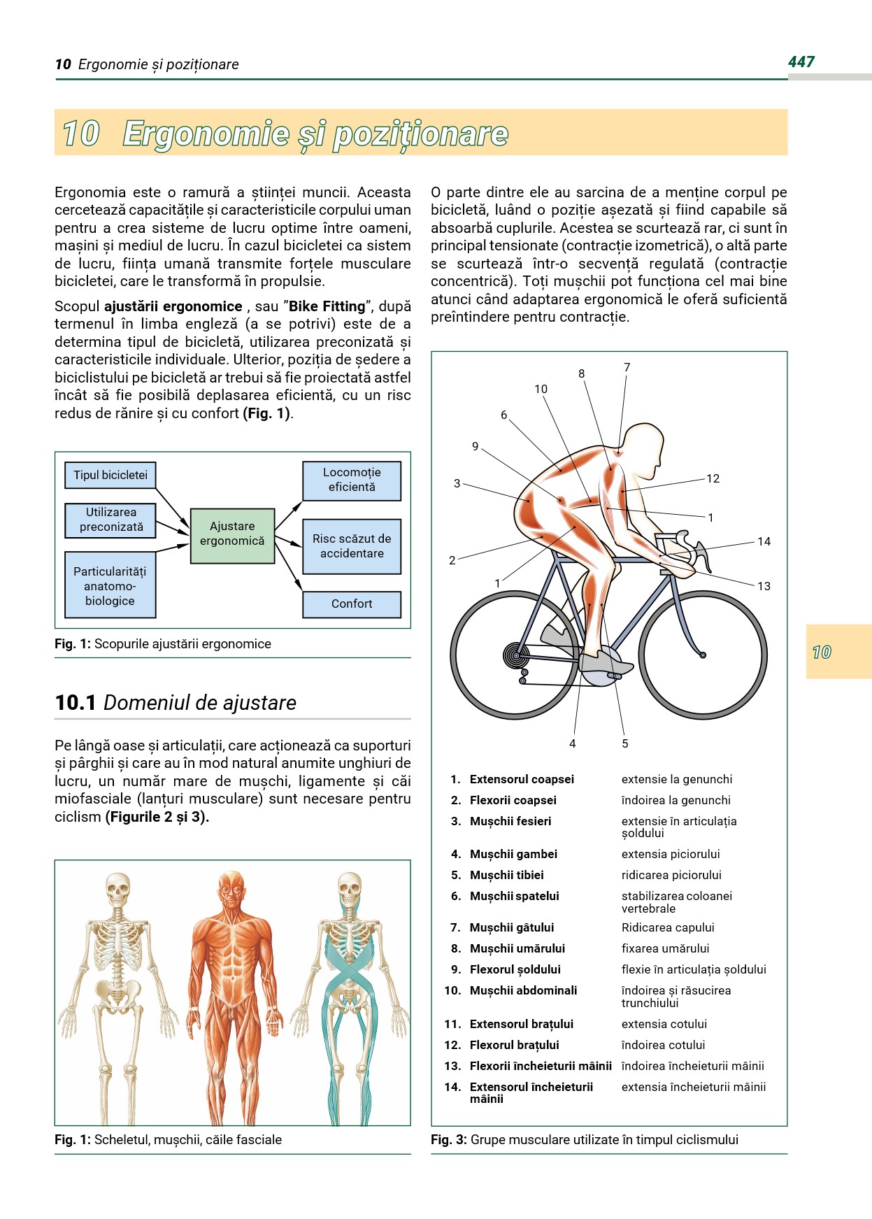 TEHNOLOGIA BICICLETELOR 10